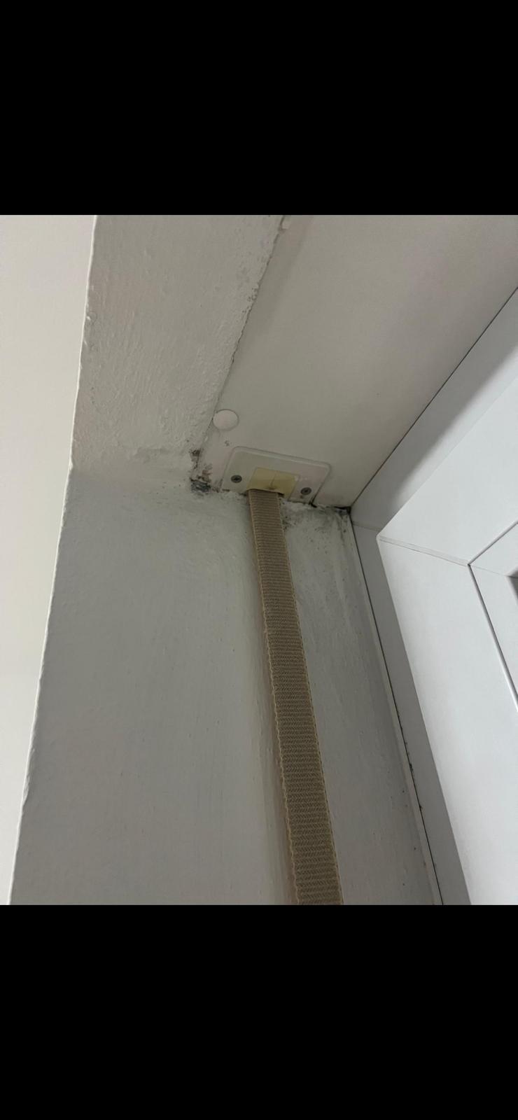 Schimmelbefall im Bereich eines Fensters