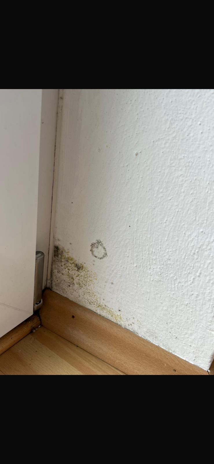Schimmelbefall im Bereich einer Tür